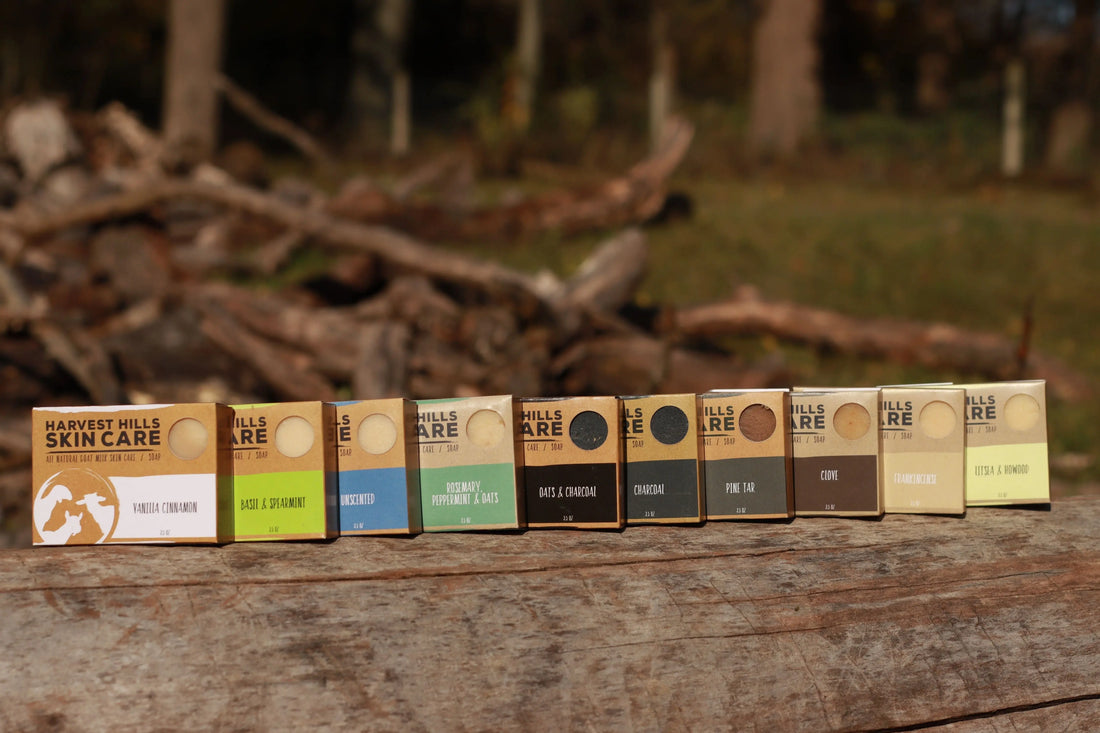 bars of goat milk soap