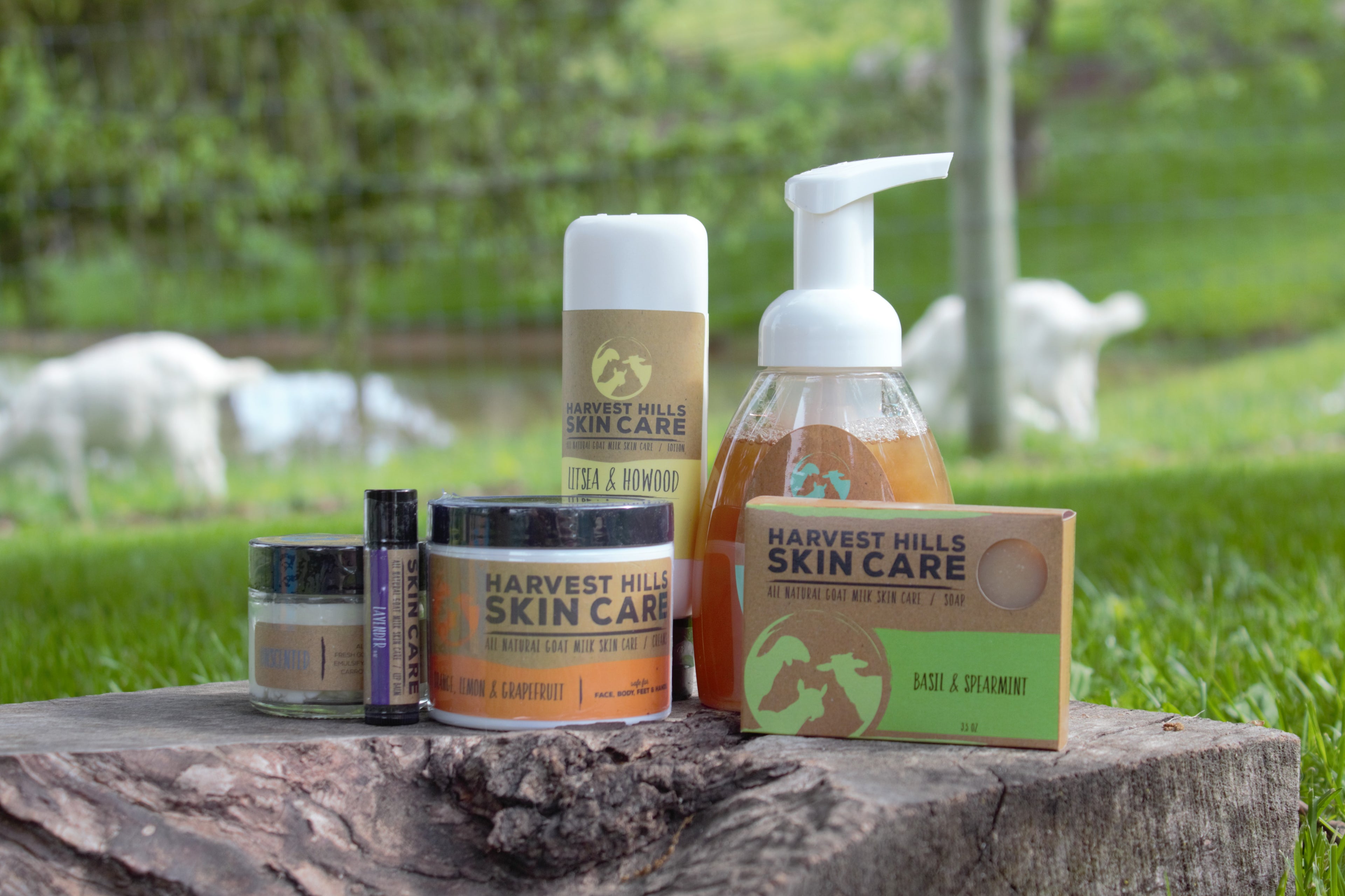 goat milk soap, lotion, foaming soap, face cream, moisturizer