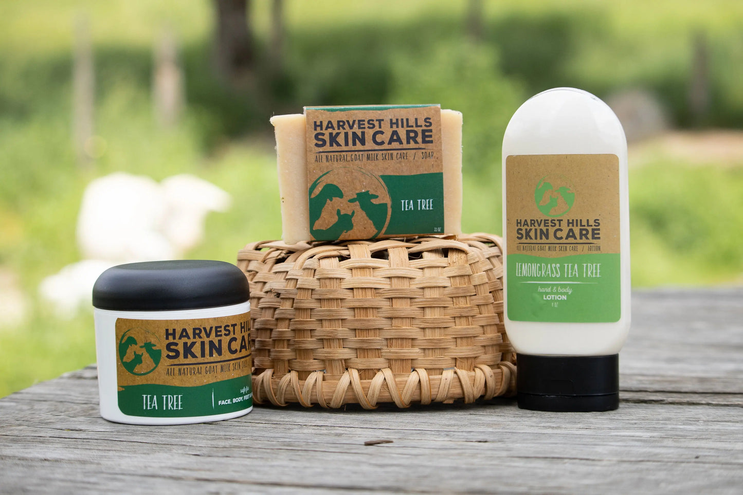 Tea Tree Intense Moisturizer Harvest Hills Skin Care All Natural Goat Milk Skin Care