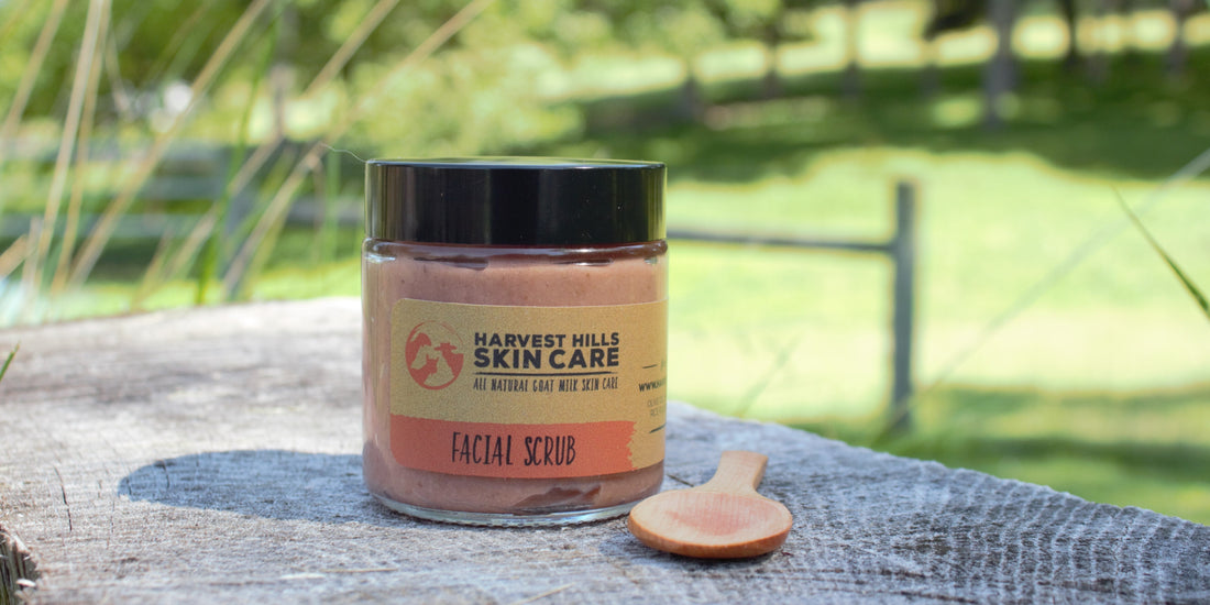 all natural face scrub, face scrub for dry skin, Brazilian clay, gentle exfoliation, Harvest Hills Skin Care
