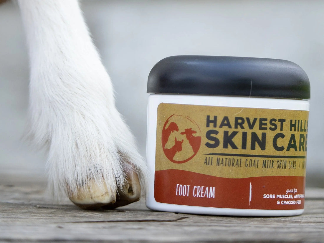 Foot-Care-Tips-Foot-Health-Matters Harvest Hills Skin Care, LLC