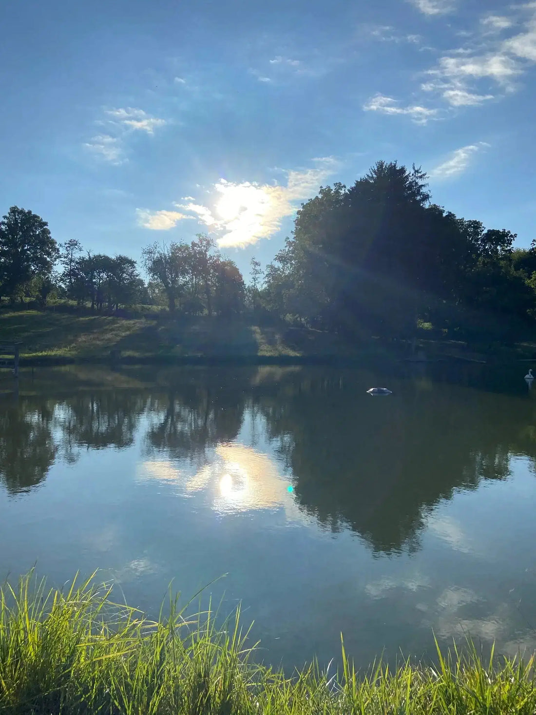 Sun reflecting on a pond with a blue sky