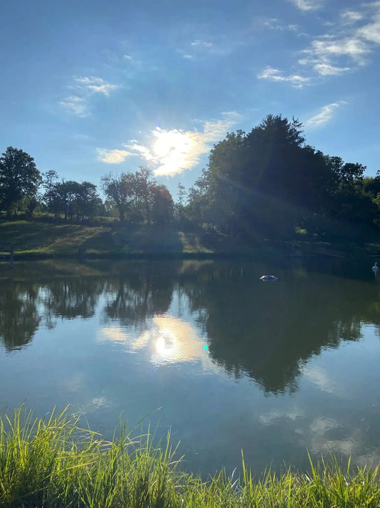 Sun reflecting on a pond with a blue sky