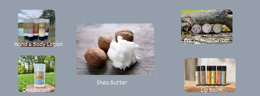 Discover-the-Power-of-Shea-Butter Harvest Hills Skin Care, LLC
