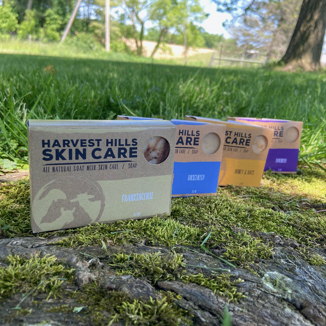 Find Your Perfect Goat Milk Soap