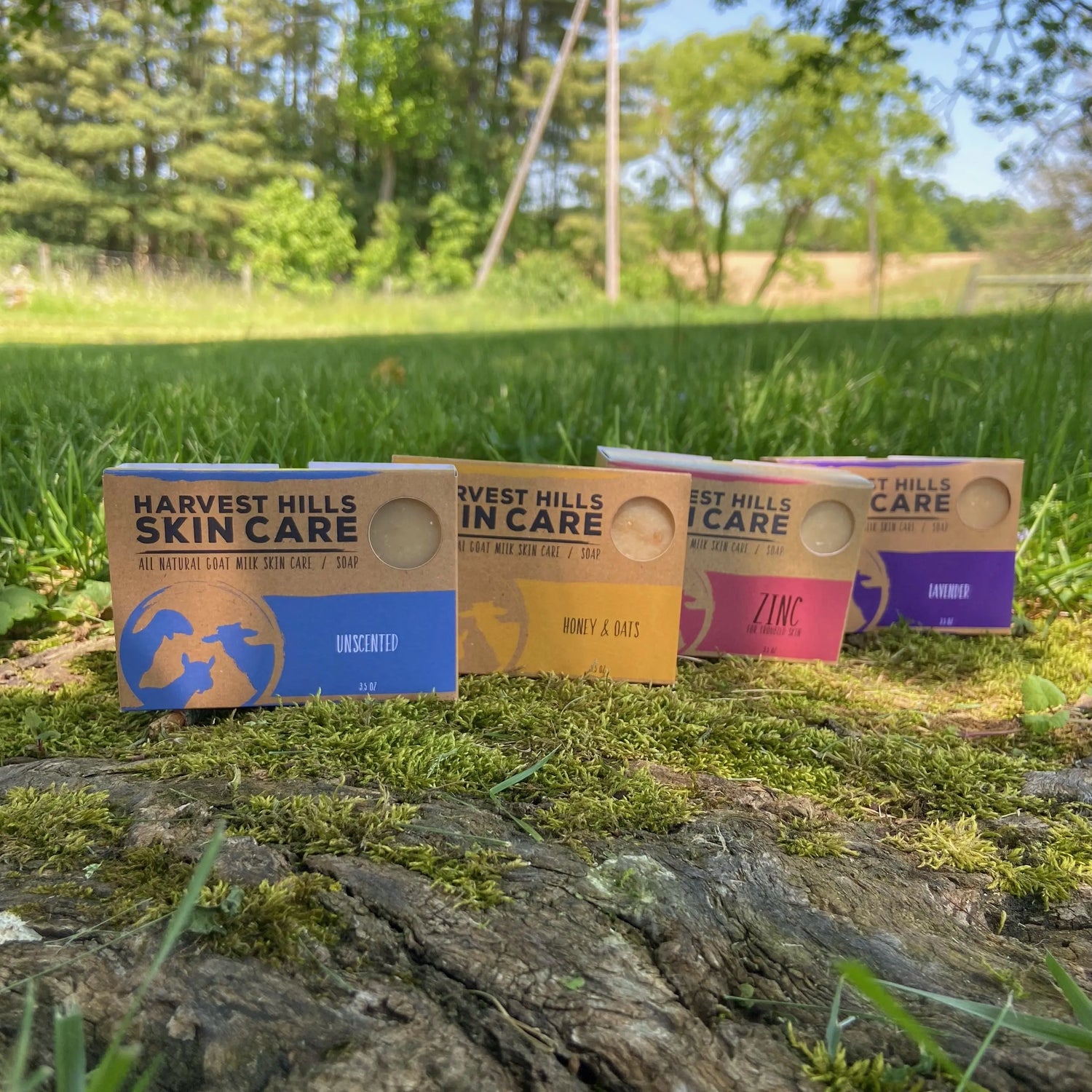 Different Goat Milk Eczema Soaps in the grass
