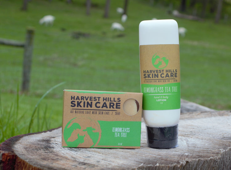 Lemongrass-Tea-Tree-Soap-and-Lotion Harvest Hills Skin Care, LLC