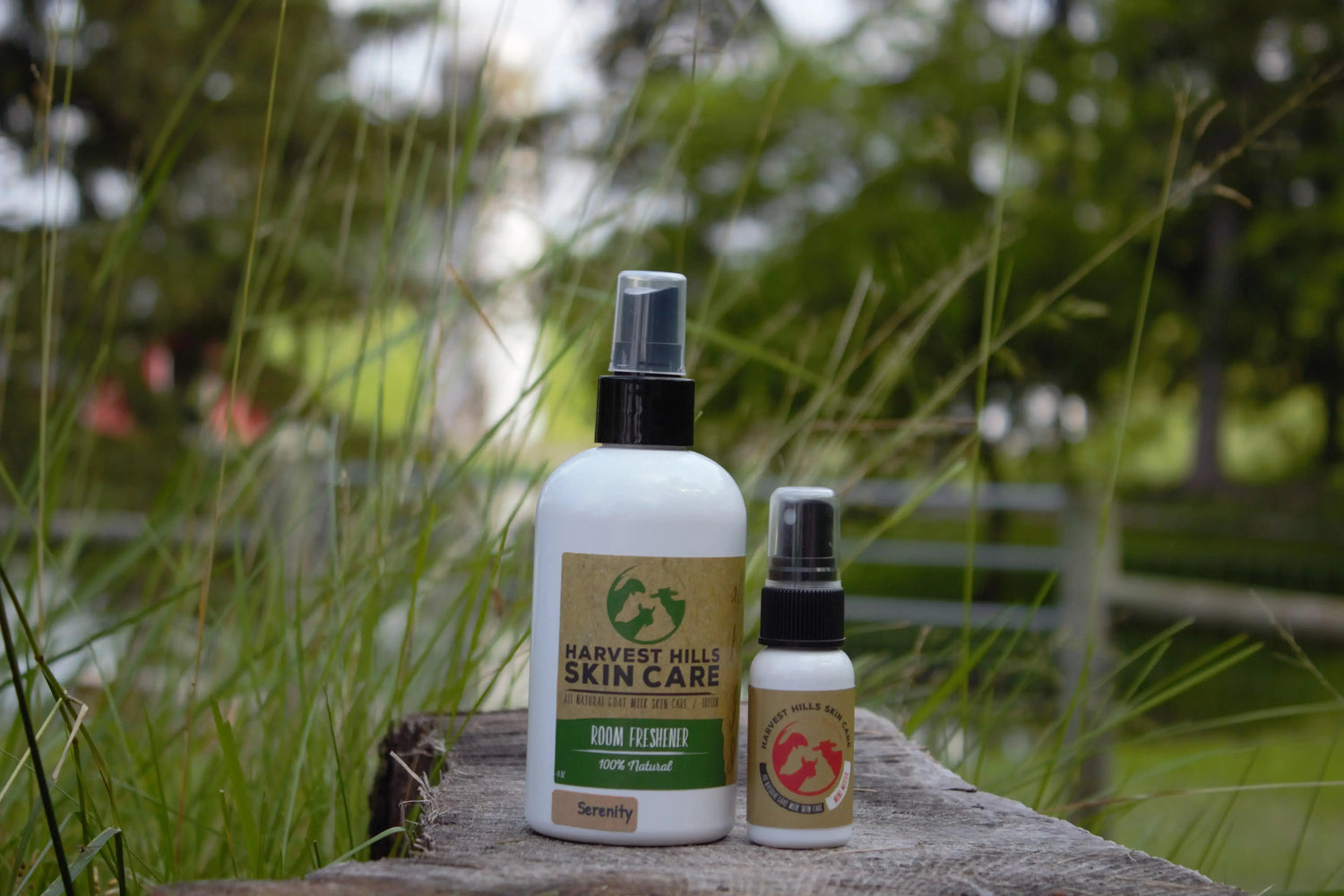 Freshen Up with Air & Body Fresheners