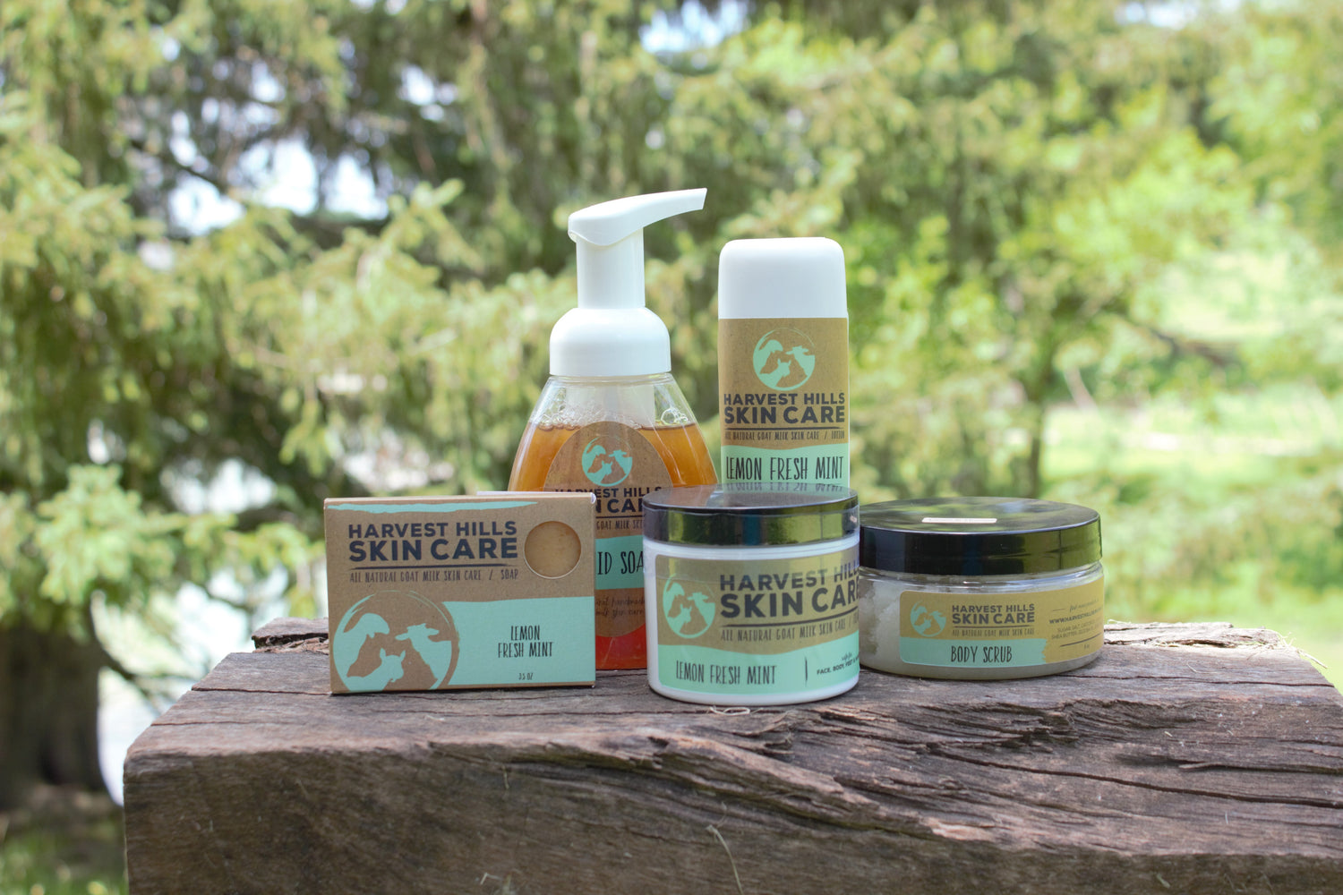 Lemon Fresh Mint Goat Milk Skin Care Products - Harvest Hills Goat Milk Skin Care