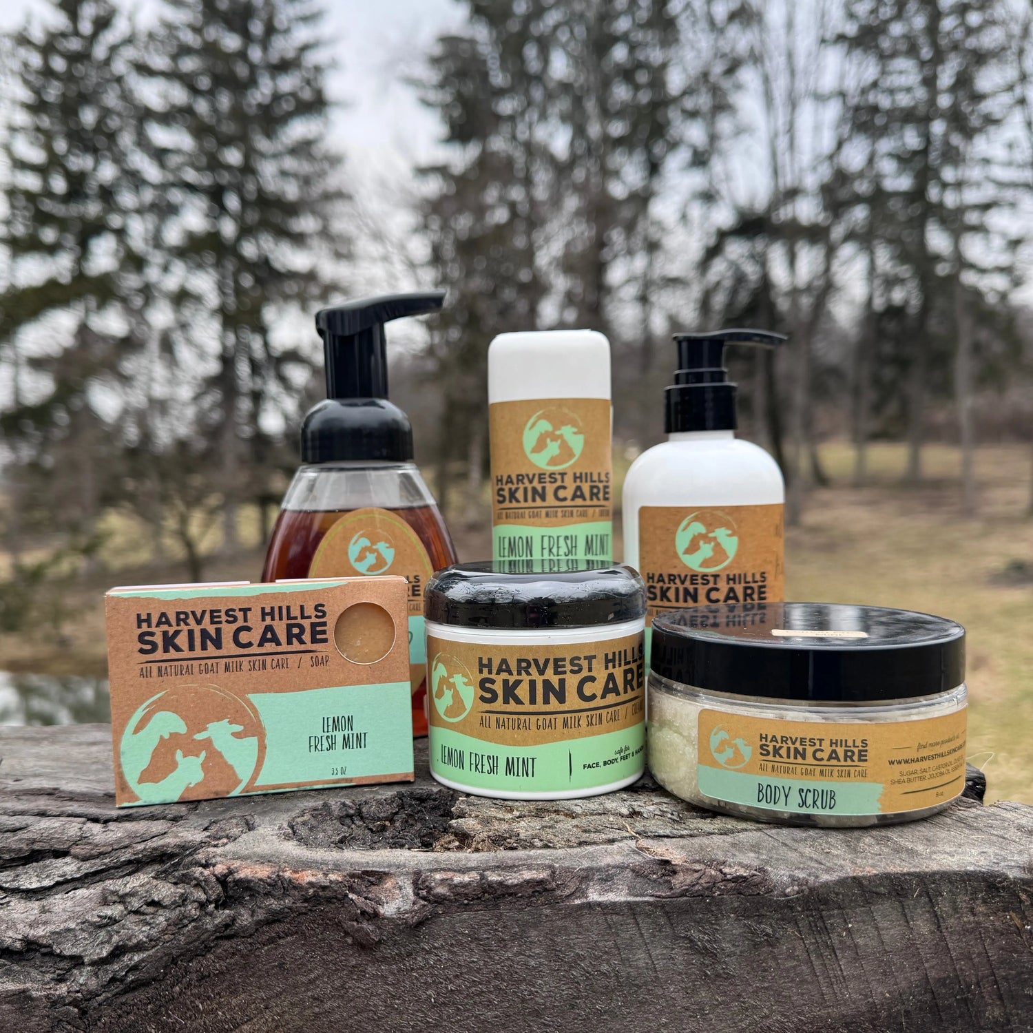Lemon Fresh Mint Goat Milk Skin Care Products - Harvest Hills Goat Milk Skin Care