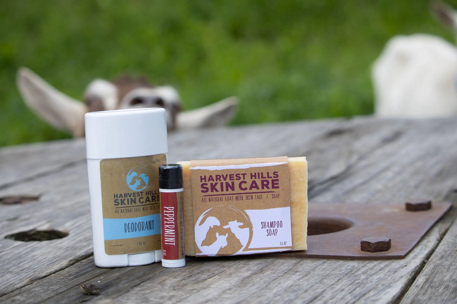 shampoo bar, natural deodorant, cute goat