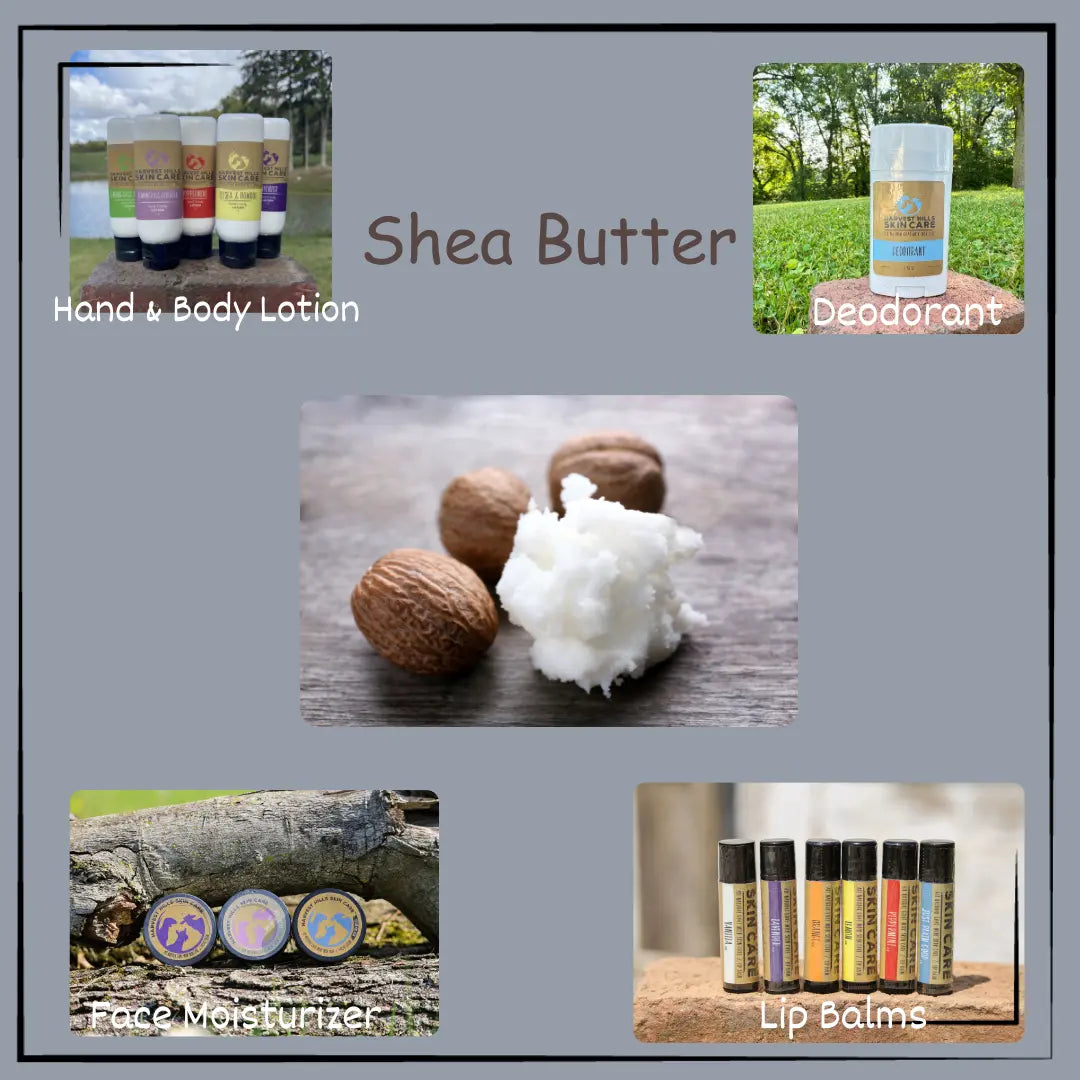 shea nut, lip balm, lotion, deodorant, face cream