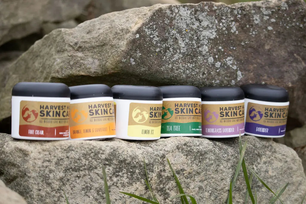 Six moisturizers on top of a big rock