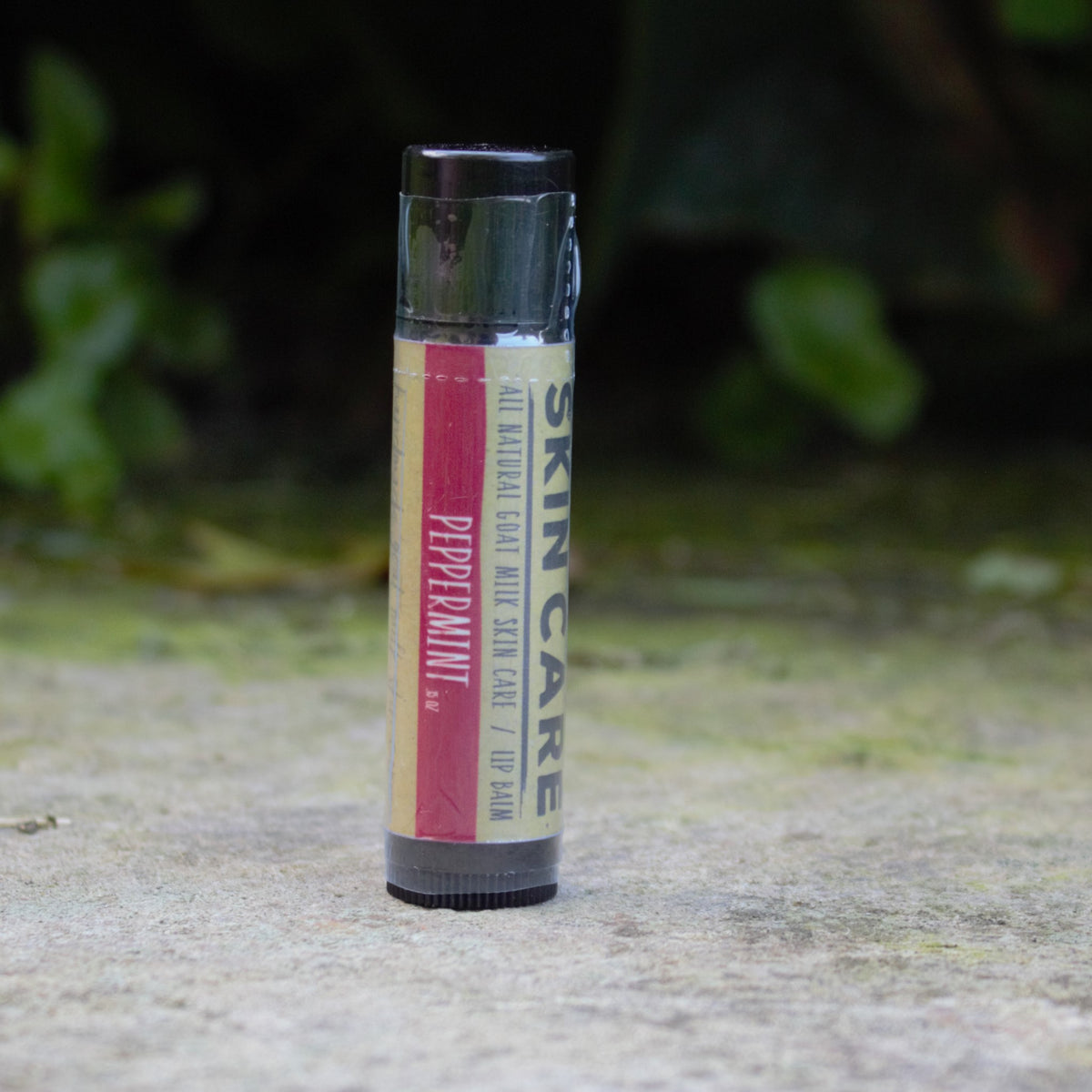 A single tube of Harvest Hills Skincare brand Peppermint lip balm standing upright on a stone surface with a blurred natural green background.