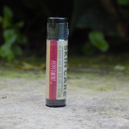 A single tube of Harvest Hills Skincare brand Peppermint lip balm standing upright on a stone surface with a blurred natural green background.