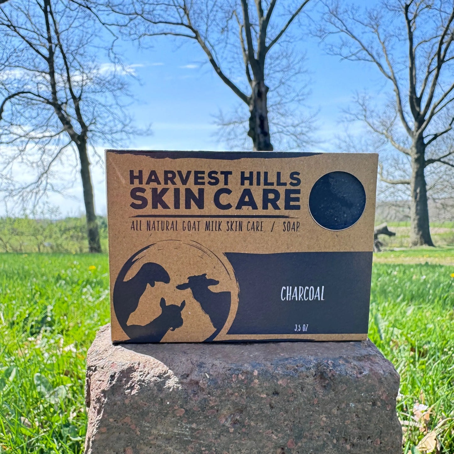 Charcoal Soap - Helpful for acne prone skin! Harvest Hills Skin Care All Natural Goat Milk Skin Care
