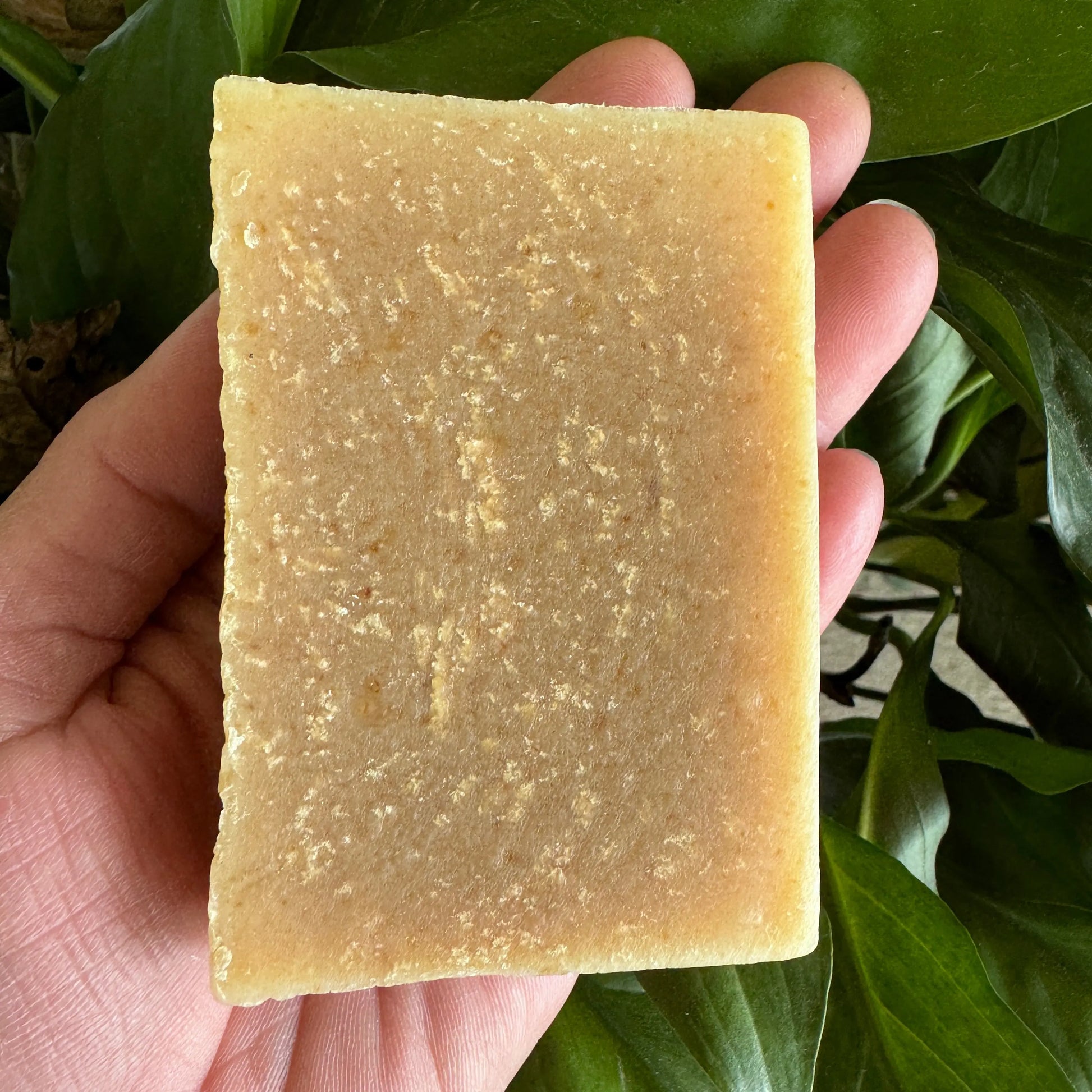 Clove Soap Harvest Hills Skin Care All Natural Goat Milk Skin Care