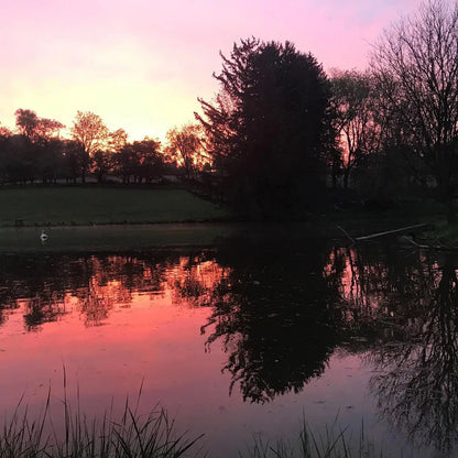Farm Photos on Framed Canvas & Prints - Harvest Hills Skin Care