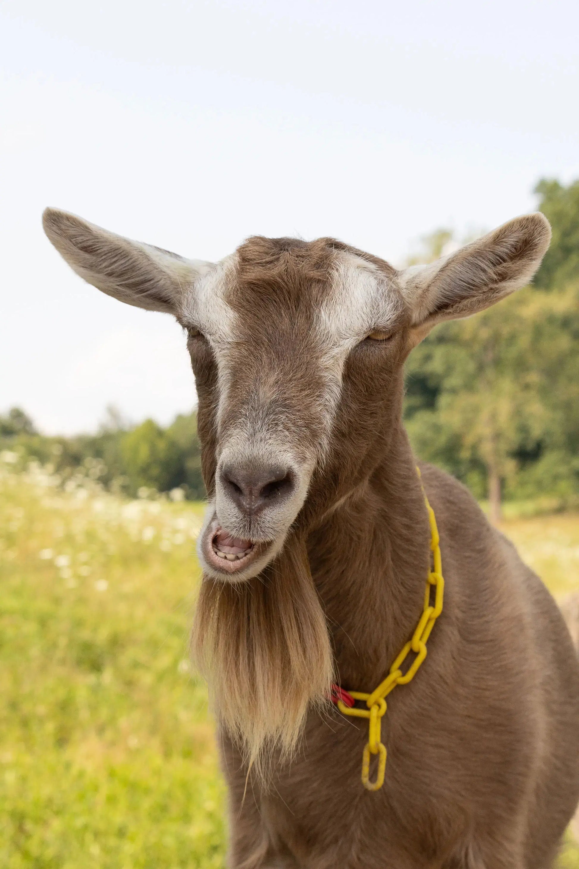 Farm Photos on Framed Canvas & Prints - Harvest Hills Skin Care
