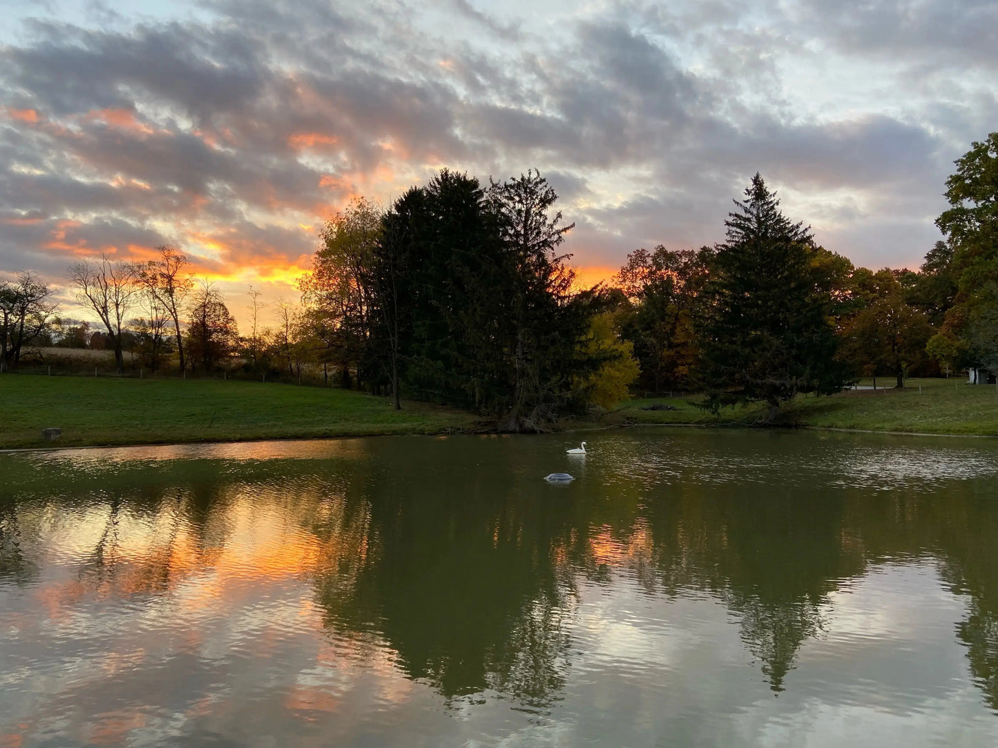 Farm Photos on Framed Canvas & Prints - Harvest Hills Skin Care