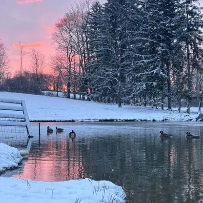 Farm Photos on Framed Canvas & Prints - Harvest Hills Skin Care