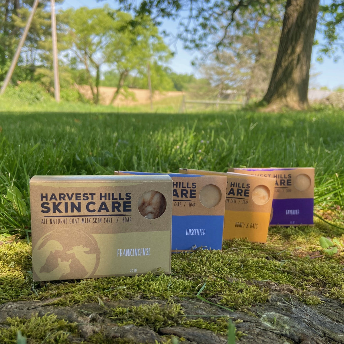 Core Face Care Set for Normal Skin