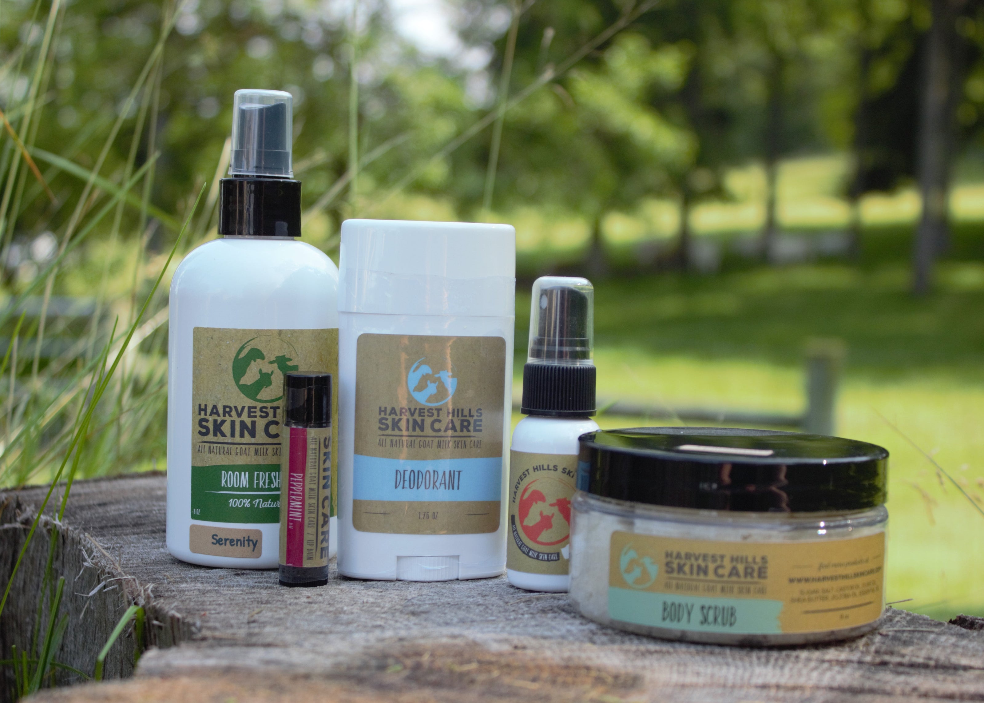 room freshener, lip balm, deodorant, body mist, body scrub