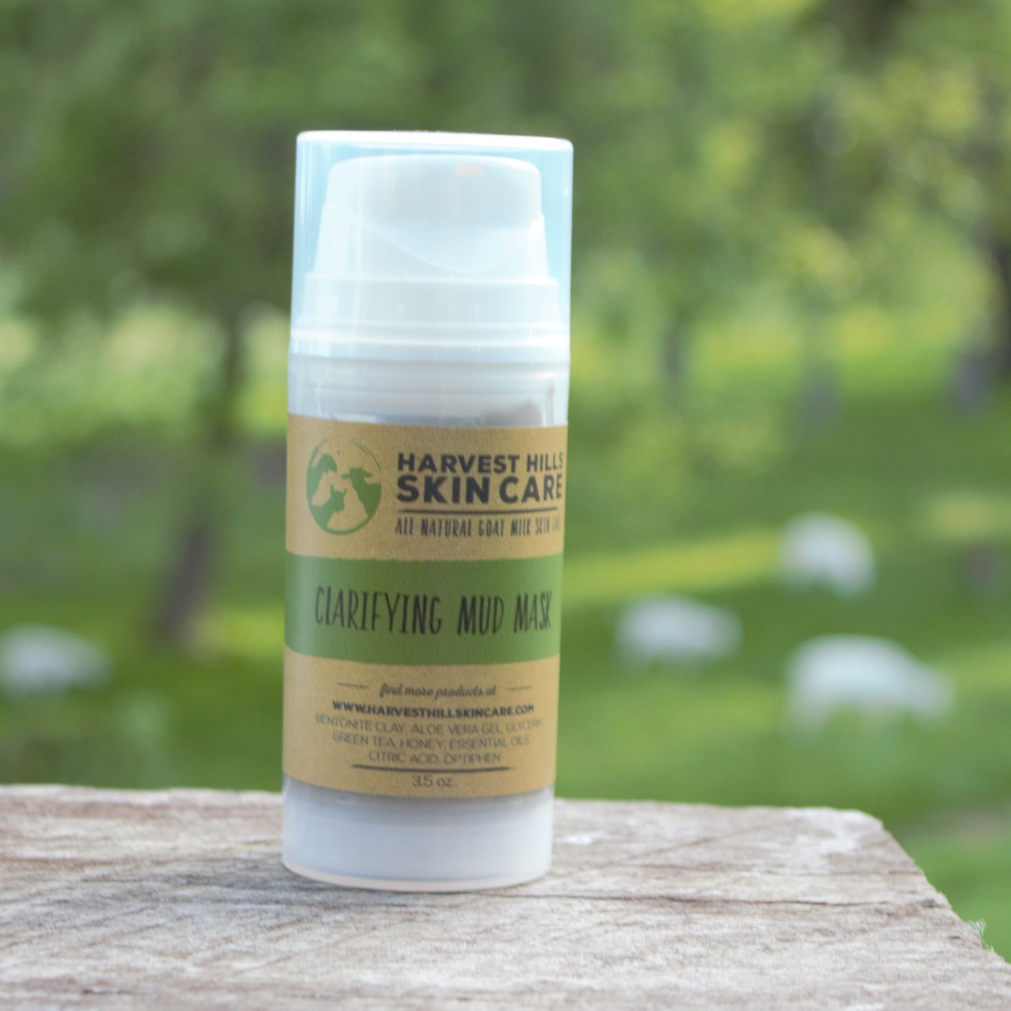 Clarifying Mud Mask