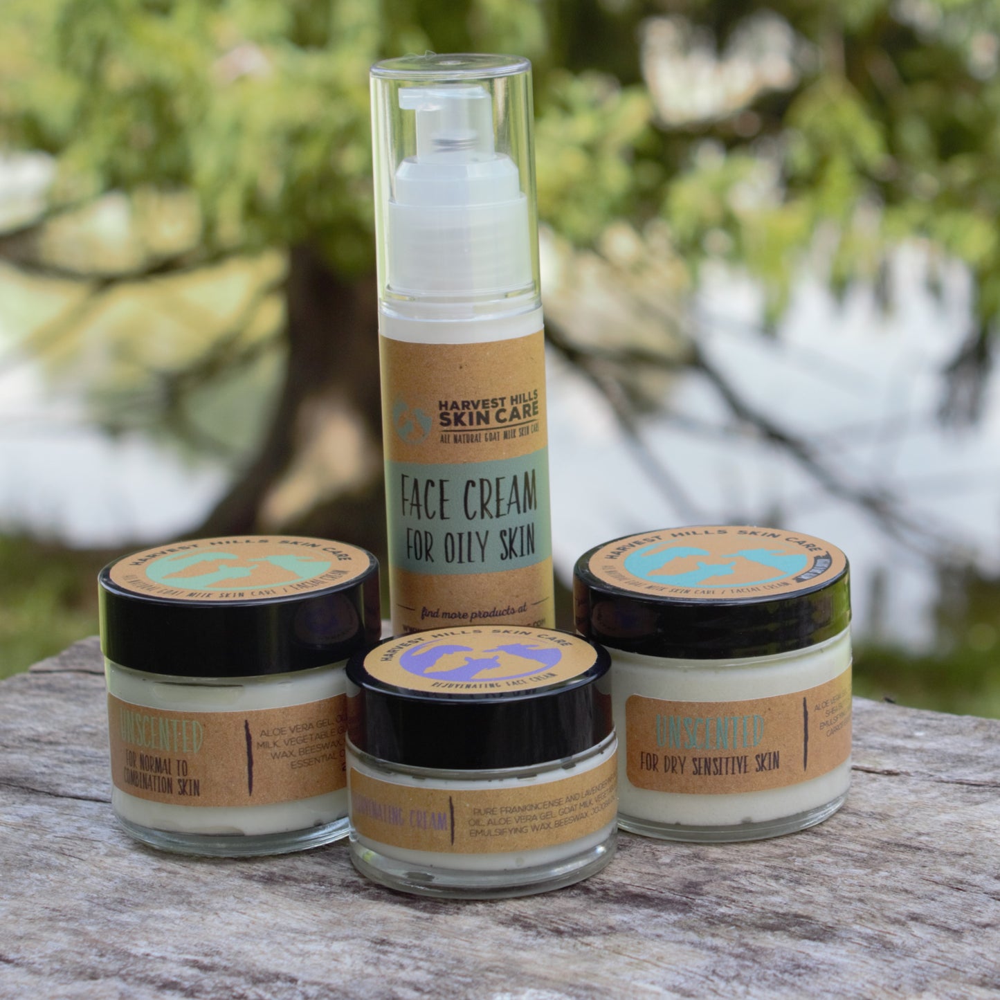 Face Cream - Goat Milk Face Cream