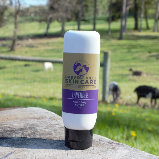 Lavender Lotion Harvest Hills Skin Care All Natural Goat Milk Skin Care