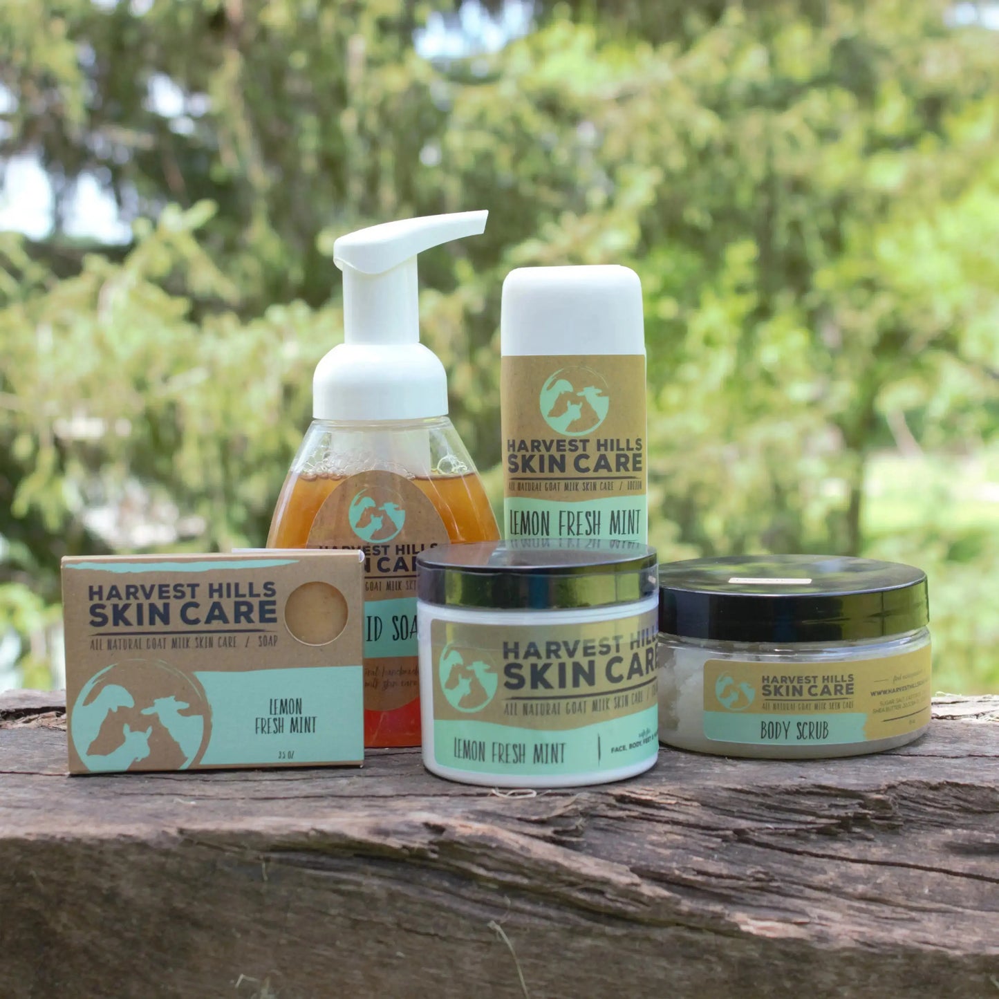 Lemon Fresh Mint Lotion - Harvest Hills Skin Care, LLC – Harvest