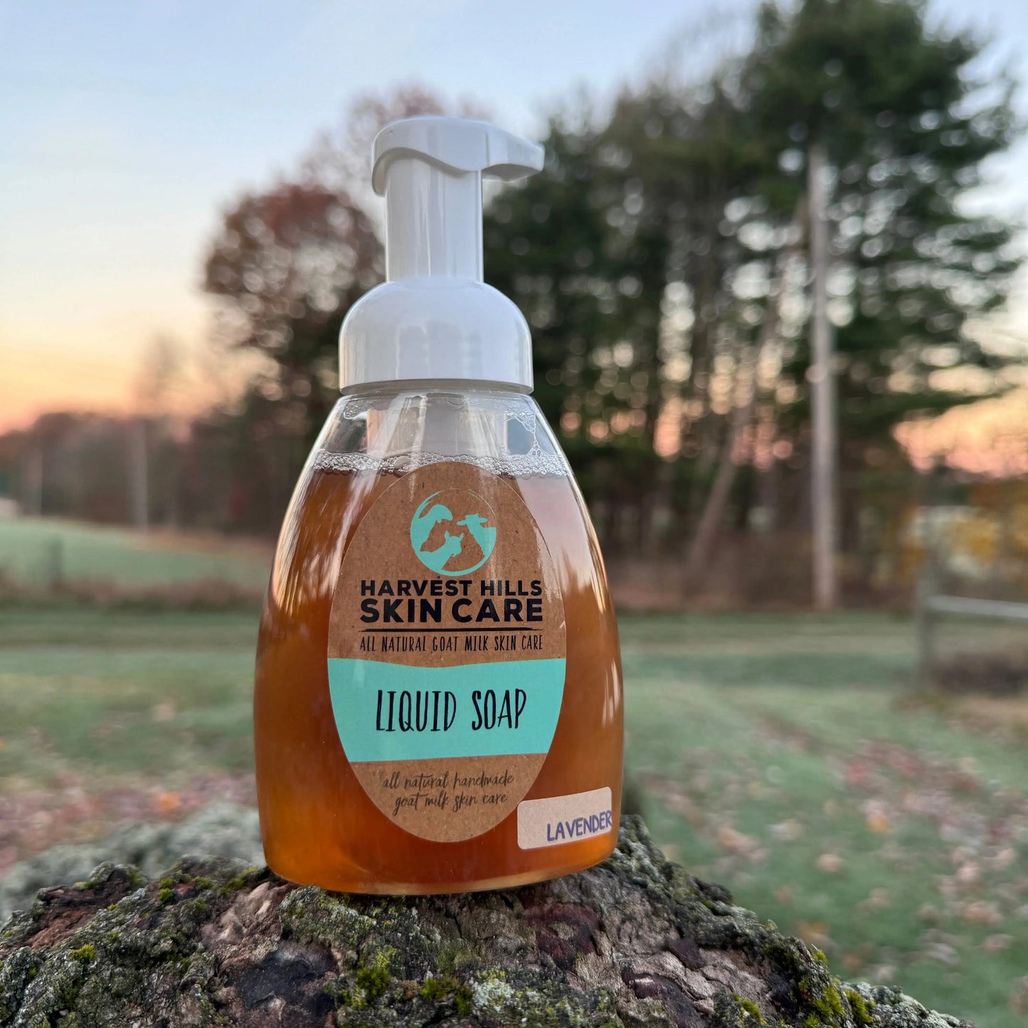 Liquid Soap - All natural goat milk soap Harvest Hills Skin Care - All Natural Goat Milk Skin Care