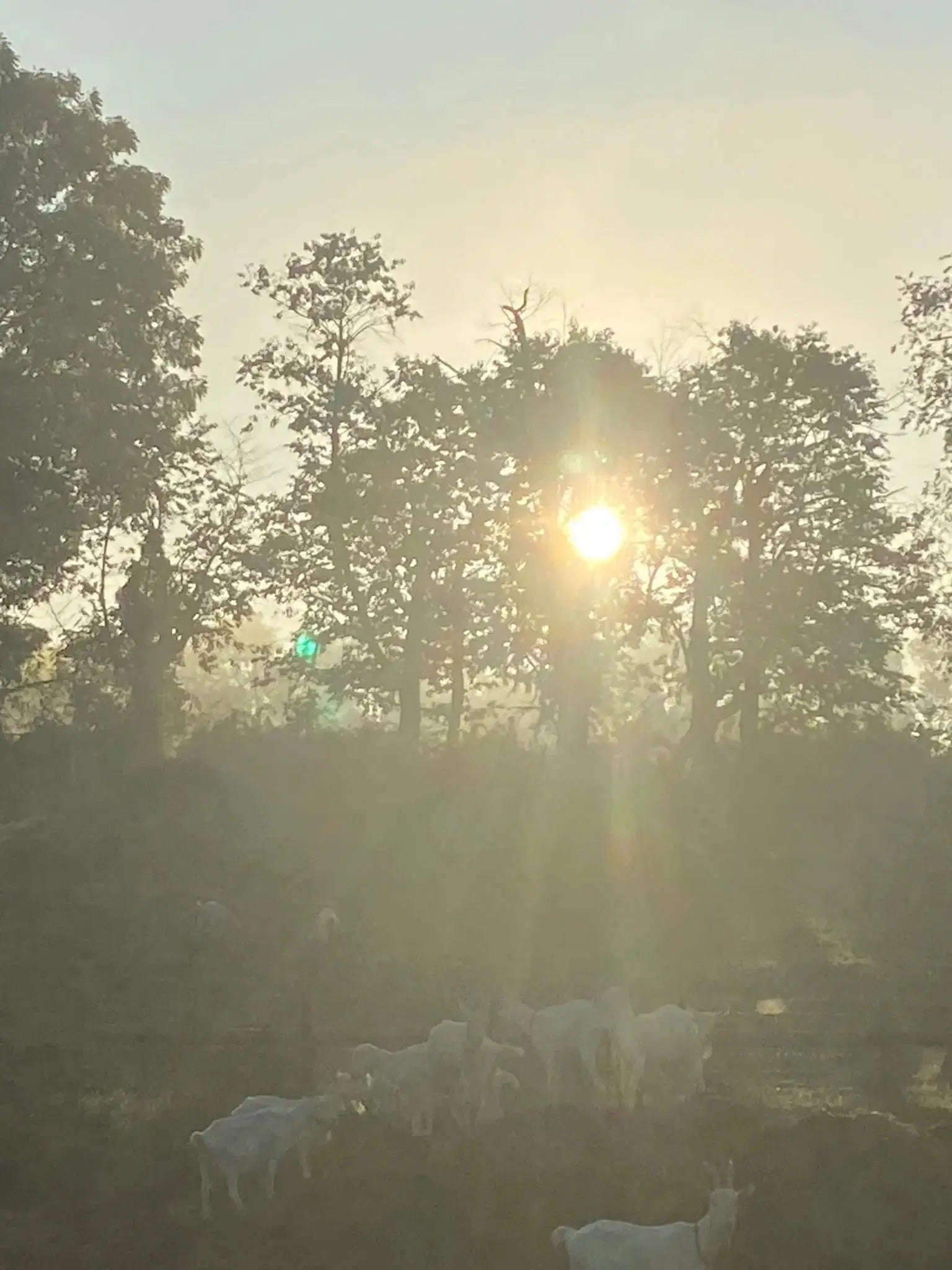 Farm Photos on Framed Canvas & Prints - Harvest Hills Skin Care