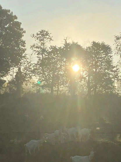 Farm Photos on Framed Canvas & Prints - Harvest Hills Skin Care