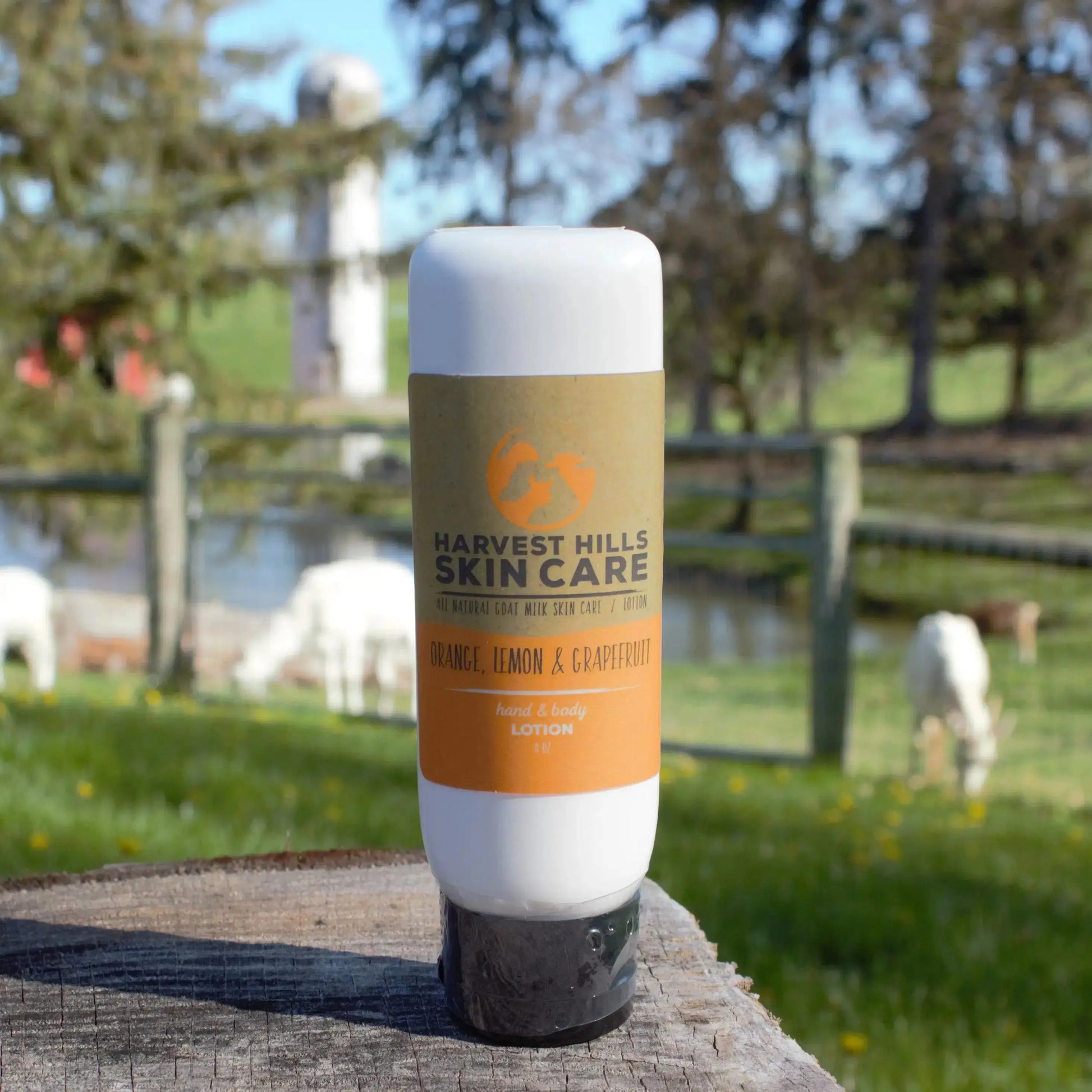 Orange, Lemon & Grapefruit Lotion Harvest Hills Skin Care All Natural Goat Milk Skin Care