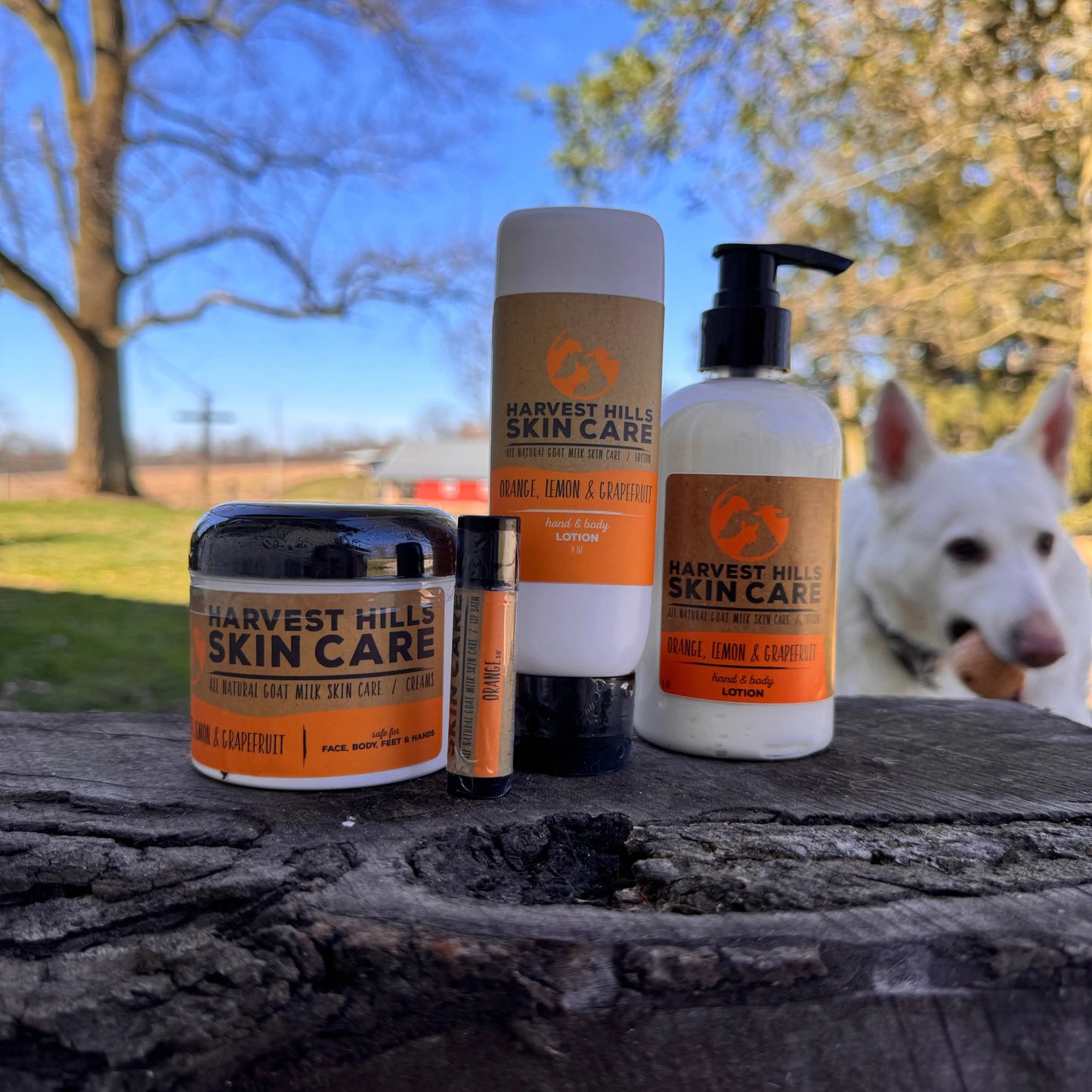 Orange, Lemon & Grapefruit Moisturizer - Refills available Harvest Hills Skin Care All Natural Goat Milk Skin Care