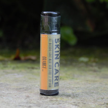 A single tube of Harvest Hills Skincare Orange lip balm standing upright on a stone surface with a blurred natural green background.