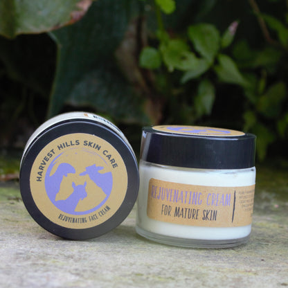 A jar of Harvest Hills Skin Care Rejuvenating Cream for Mature Skin, shown with its lid next to the  jar on a stone surface with a blurred green garden background.