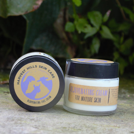 A jar of Harvest Hills Skin Care Rejuvenating Cream for Mature Skin, shown with its lid next to the  jar on a stone surface with a blurred green garden background.