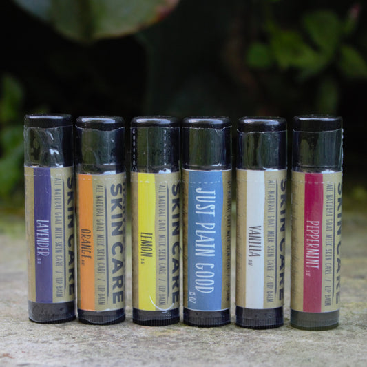 Six lip balm tubes standing upright on a stone surface with a blurred green garden background. The tubes are labeled Lavender, Orange, Lemon, Just Plain Good, Vanilla, and Peppermint - Harvest Hills Skin Care