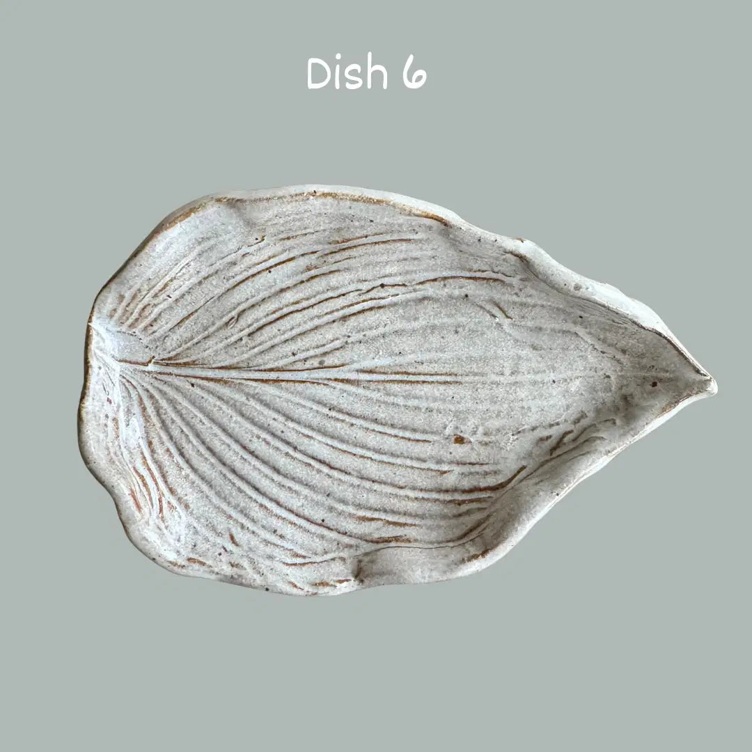 Soap Dishes by Linn J Pottery - Hand Crafted, Locally Made - Harvest Hills Goat Milk Skin Care