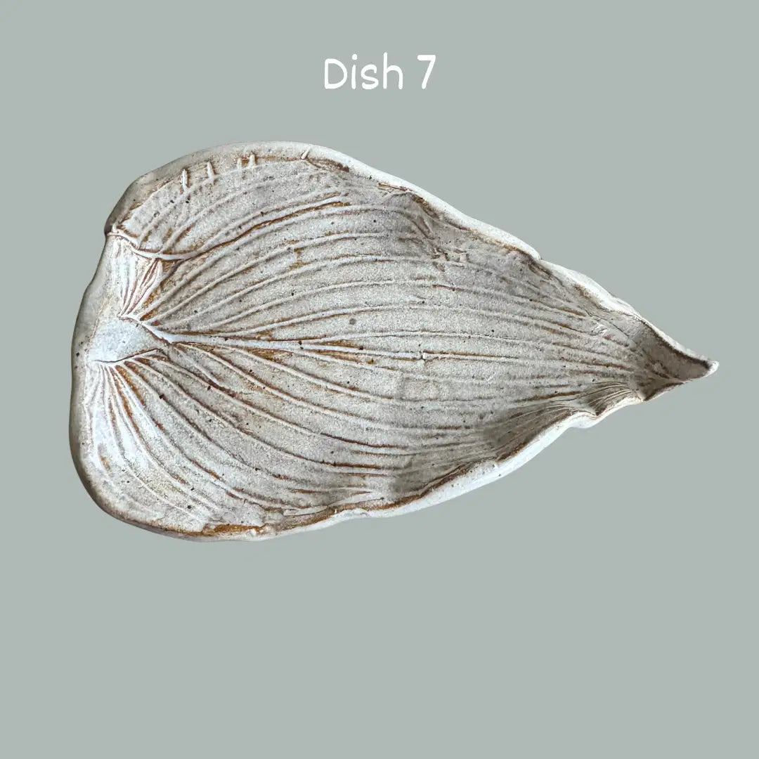 Soap Dishes by Linn J Pottery - Hand Crafted, Locally Made - Harvest Hills Goat Milk Skin Care