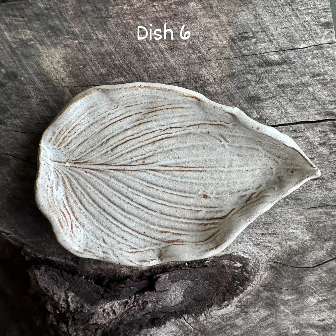 Soap Dishes by Linn J Pottery - Hand Crafted, Locally Made - Harvest Hills Goat Milk Skin Care