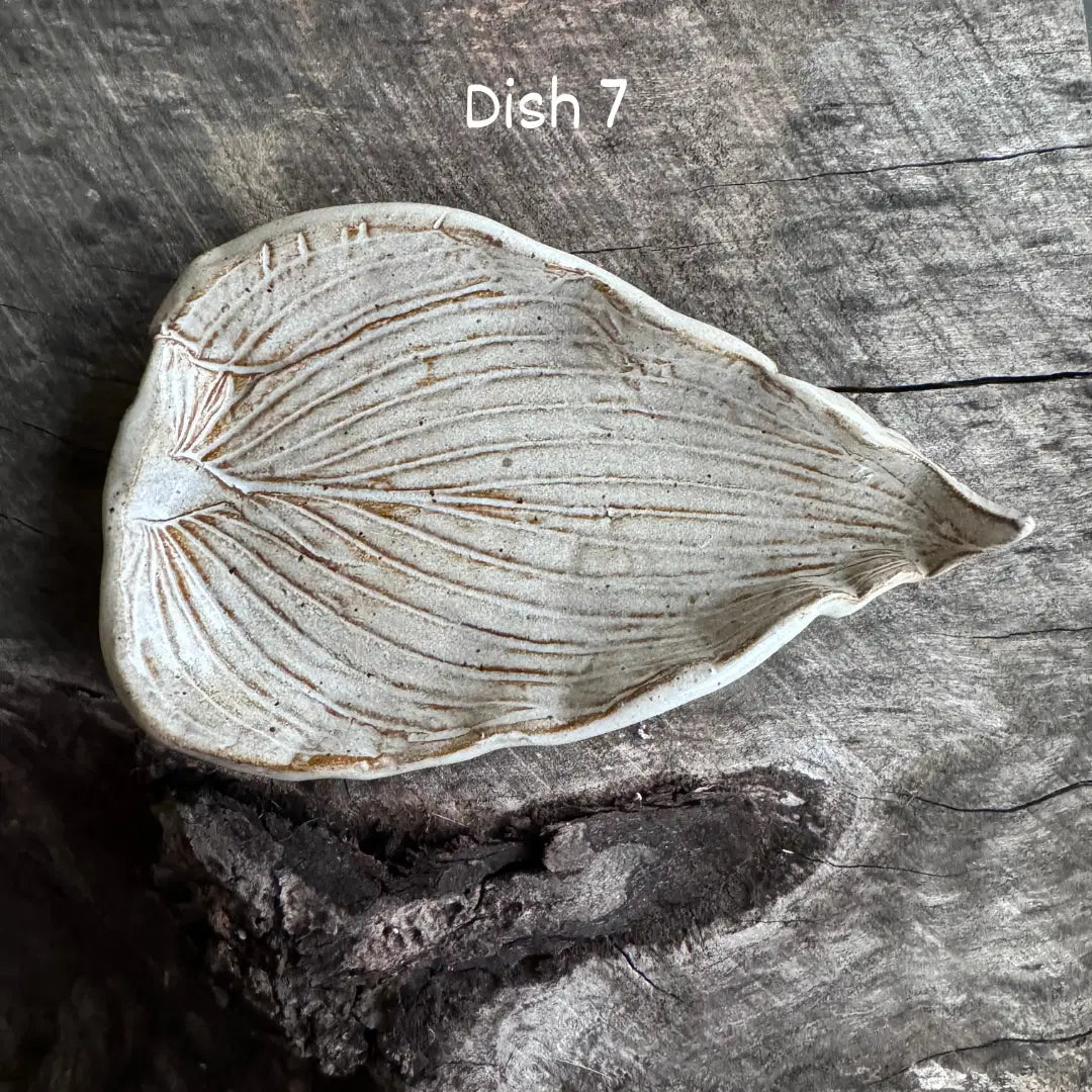 Soap Dishes by Linn J Pottery - Hand Crafted, Locally Made - Harvest Hills Goat Milk Skin Care