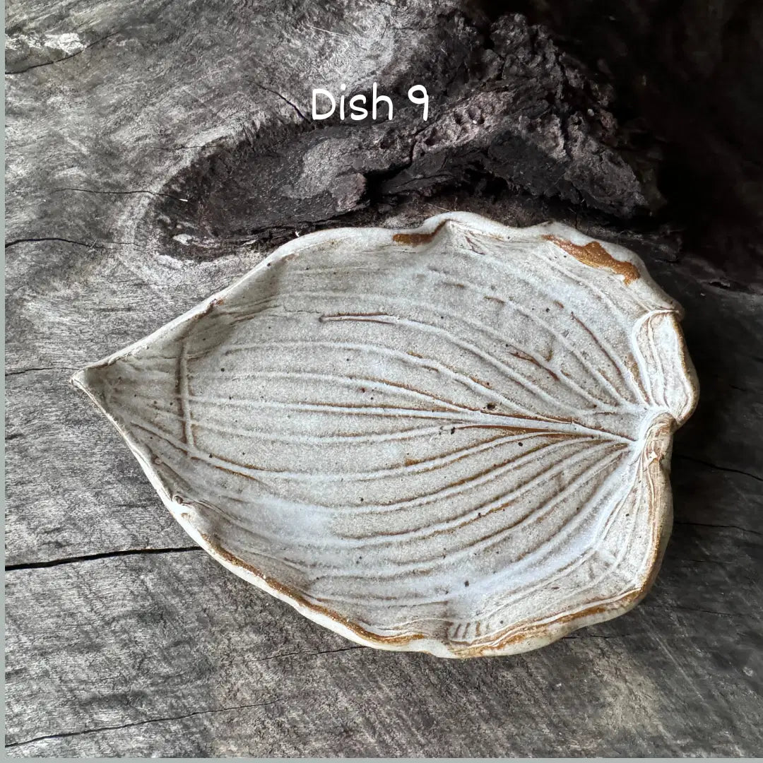 Soap Dishes by Linn J Pottery - Hand Crafted, Locally Made - Harvest Hills Goat Milk Skin Care