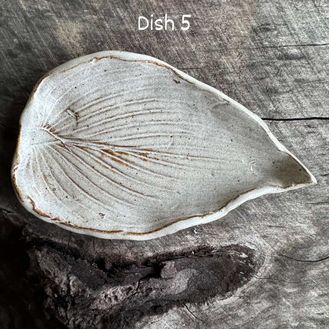 Soap Dishes by Linn J Pottery - Hand Crafted, Locally Made - Harvest Hills Goat Milk Skin Care