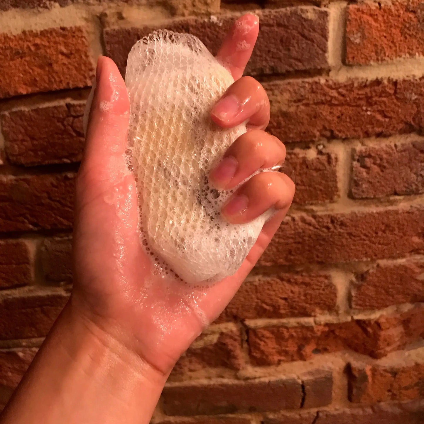 Soap Net Harvest Hills Skin Care - All Natural Goat Milk Skin Care, LLC