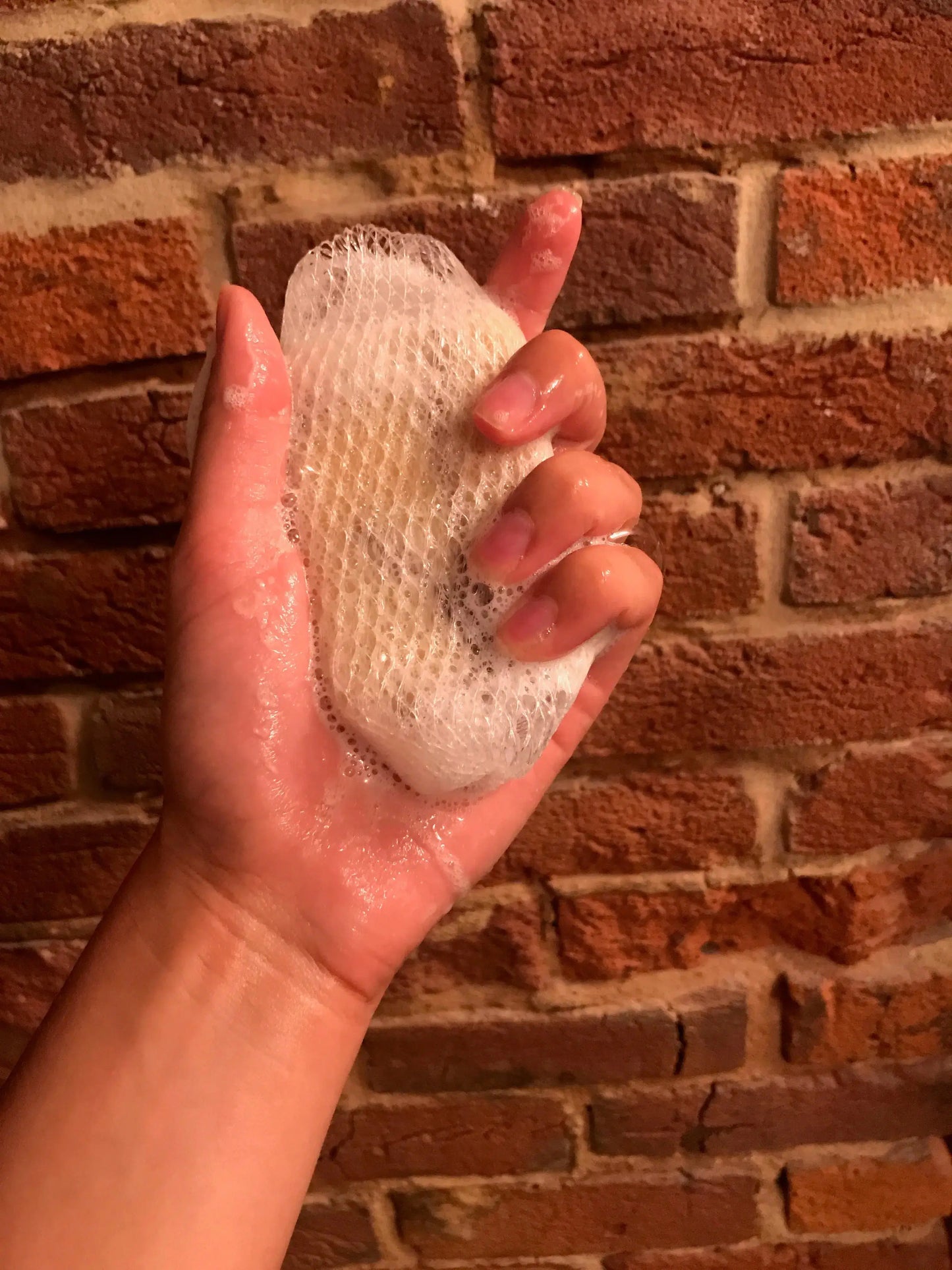 Soap Net Harvest Hills Skin Care - All Natural Goat Milk Skin Care, LLC