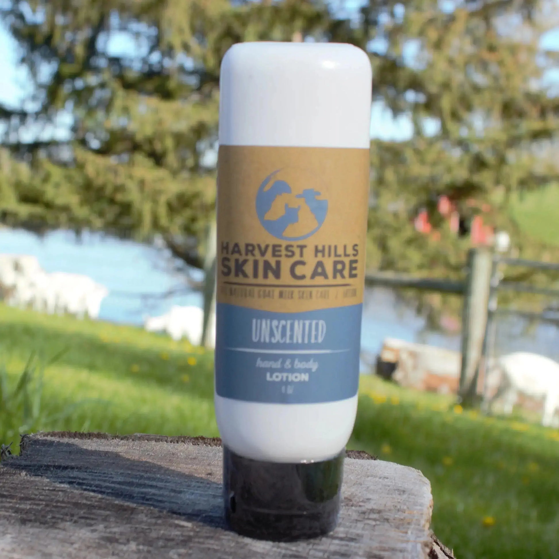 Unscented Lotion Harvest Hills Skin Care All Natural Goat Milk Skin Care