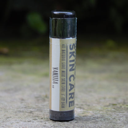 A single tube of Harvest Hills Skin Care lip balm, Vanilla flavor, standing upright on a textured stone surface with a blurred green outdoor background.